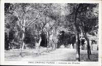 carte postale de Carnac 430